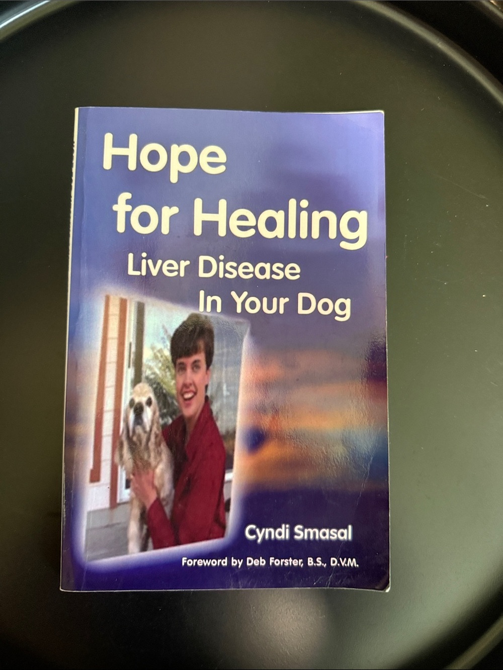 Hope for Healing - Liver Disease in Your Dog  (Paperback)